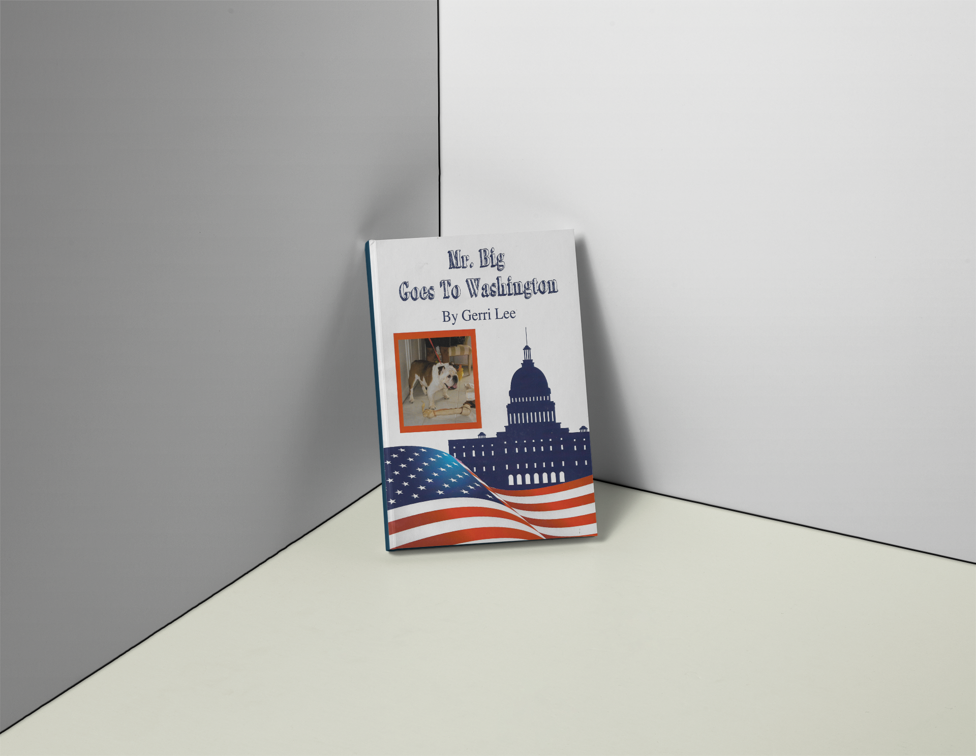 Gerri Lee Book 4